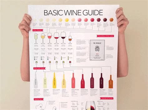 Basic Wine Guide Poster by Madeline Puckette on Dribbble