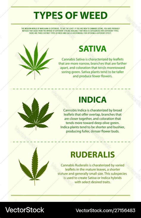 Weed Plant Types