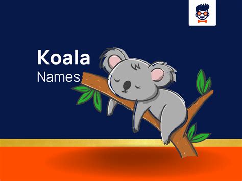 1120+ Koala Names For These Aussie Icons! (+Generator)