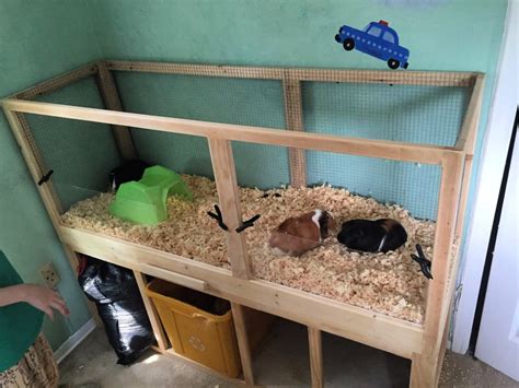 20 Homemade DIY Guinea Pig Cage Ideas