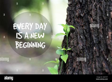 Nature quotes hi-res stock photography and images - Alamy