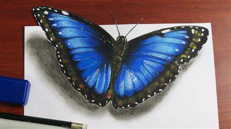 painting: 34+ Realistic Butterfly Drawing Outline Background