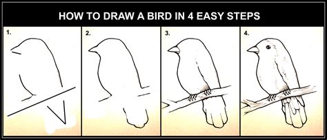 DARYL HOBSON ARTWORK: How To Draw A Bird Step By Step Art Guide