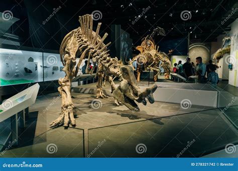 Drumheller, Canada - Mar 2023 Visitors Flock To the Dinosaur Exhibits ...