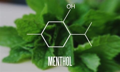 Menthol | Chemical formula, Stem projects, Menthol