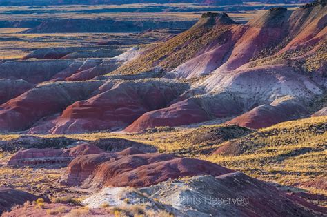 Colorful Painted Desert in Petrified Forest National Park | Petrified ...