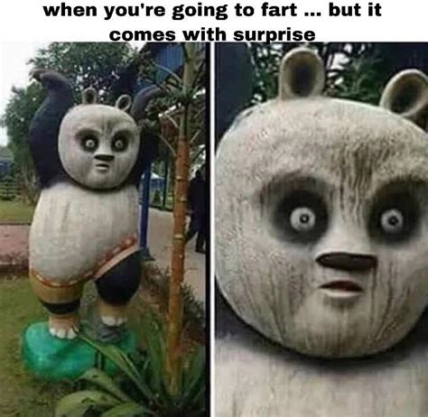 kUnG fU pAnDa: Po(op) xD : r/memes