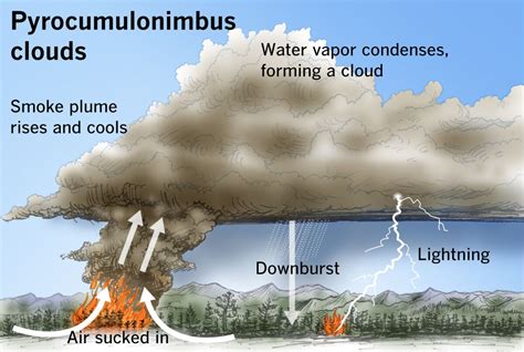 California fire analysis: What are pyrocumulus clouds? - Los Angeles Times