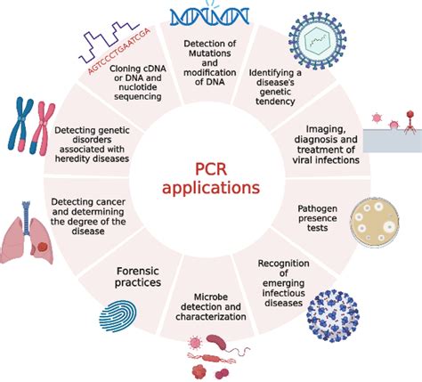 Examples of PCR applications (Created with Biorender.com) | Download ...