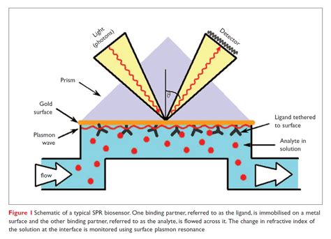 Surface Plasmon Resonance's impact on drug discovery - resolution ...