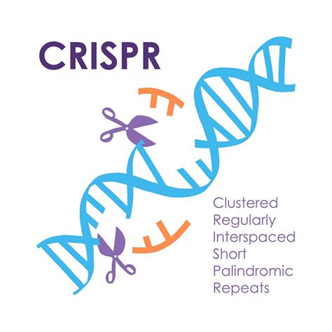 Crispr Twins