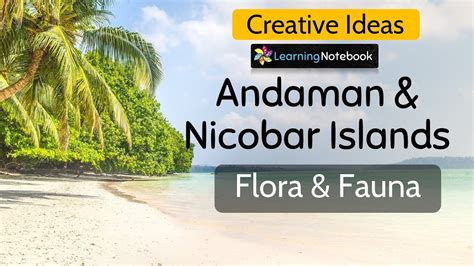 Flora and Fauna of Andaman and Nicobar Islands - YouTube