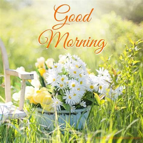 Good Morning Images Free Download - Home