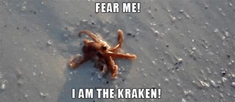 Fear Me I Am The Kraken GIF - Fear Me I Am The Kraken The Kraken Will ...