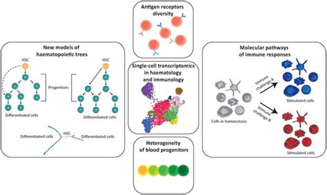 Application of single-cell RNA sequencing methodologies in ...