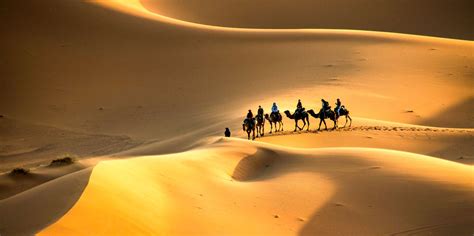 The BEST Sahara Desert, Morocco Tours and Things to Do in 2024 - FREE ...