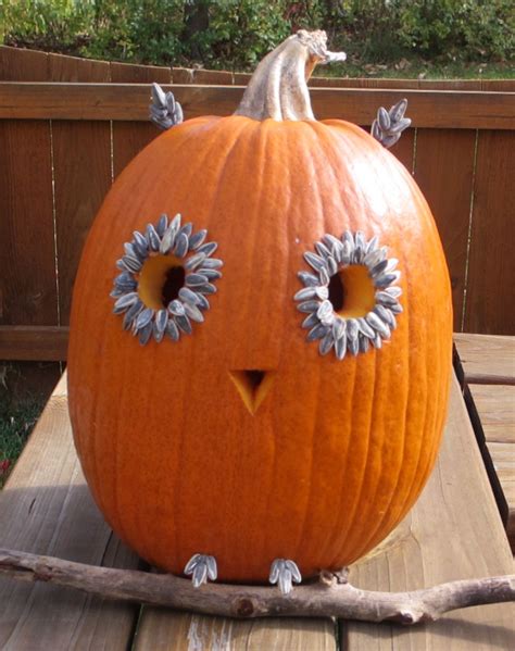 Easy Owl Halloween Pumpkin - Life's A Tomato