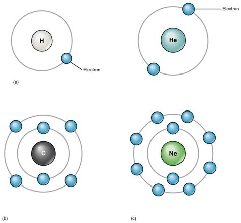 Elements and Atoms: The Building Blocks of Matter | Anatomy and ...