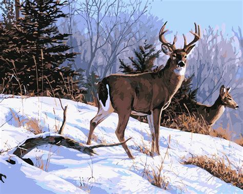 Deers in snow - DIY Paint By Numbers Kits for Adults Deer Painting ...