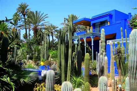 Marrakech: Majorelle Garden Visit and Hammam Experience | GetYourGuide