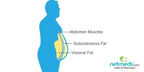 Body Fat: Know About Types Of Body Fat, Benefits And Role Of Diet