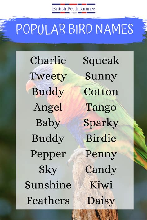 Popular bird names | Birds name list, Pet names, Cute pet names