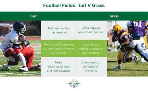 NFL Grass vs. Turf: Which One Is the Best? | Turf Factory