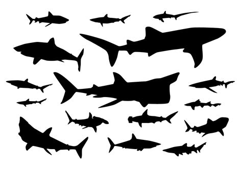 Shark Silhouette Art