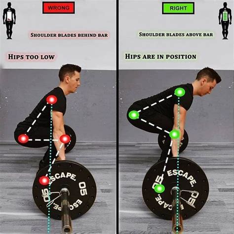 8 Deadlift Variations Complete With Benefits & Why You Should Try Them ...