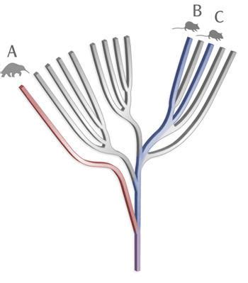 EDGE species - Alchetron, The Free Social Encyclopedia