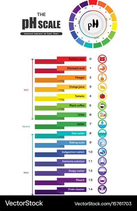 Ph scale universal indicator color chart Vector Image