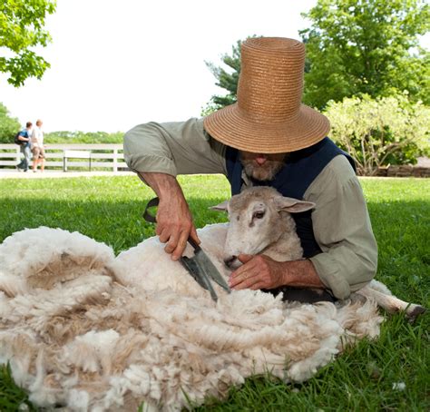 Lessons from Our Farm - Harvest of History