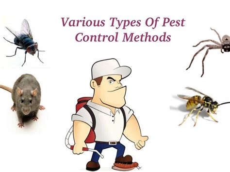 Various types of pest control methods