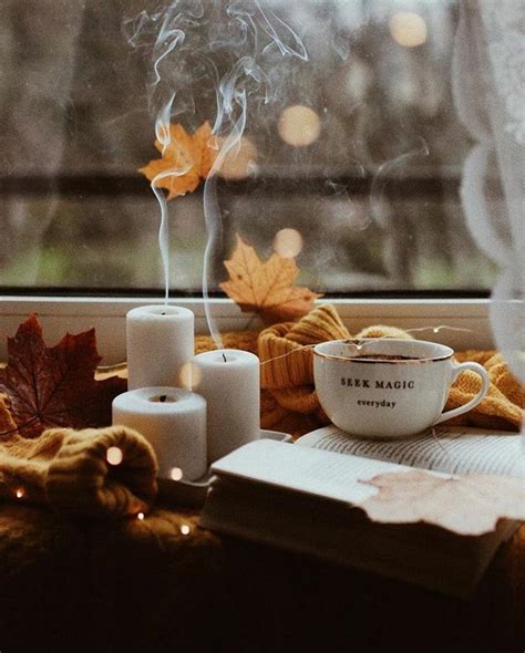 seek magic everyday 🍁 🍂 🕯 | Autumn aesthetic tumblr, Autumn cozy ...