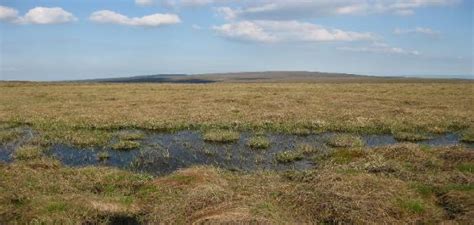 How bogs form - Clara Bog Nature Reserve