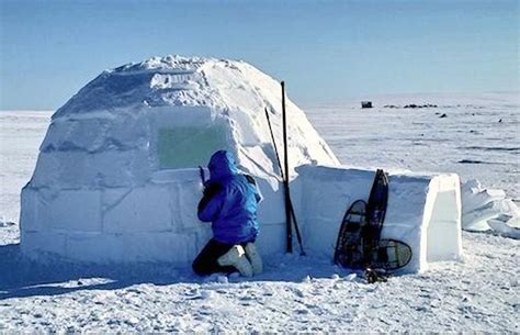 Igloo, Alaska | Alaska photos, Alaska travel, Alaska