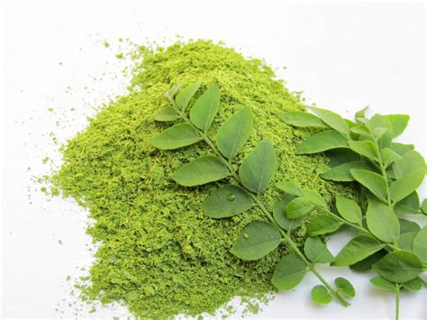 The Best Restorative Indian Hair Growth Herbs! | A Green Beauty Blog