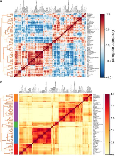 Frontiers | Effects of repeated binge intake of the pyrovalerone ...