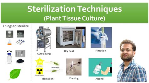 Sterilization techniques in tissue culture. - YouTube