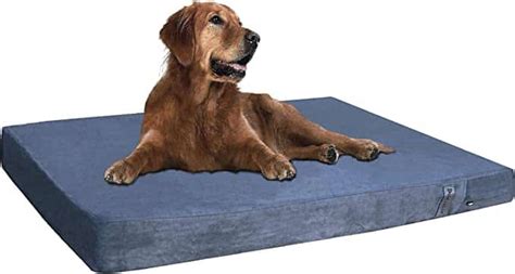 The 10 Best Waterproof Dog Beds for Accidents to Outdoor Adventures