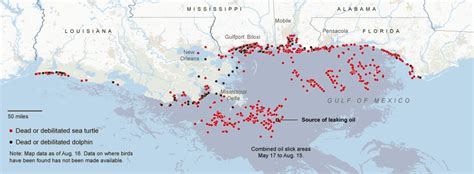 Gulf Oil Spill - The Effects on Wildlife - Interactive Graphic ...