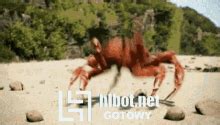 Crab Dancing GIF - Crab Dancing Cool - Discover & Share GIFs