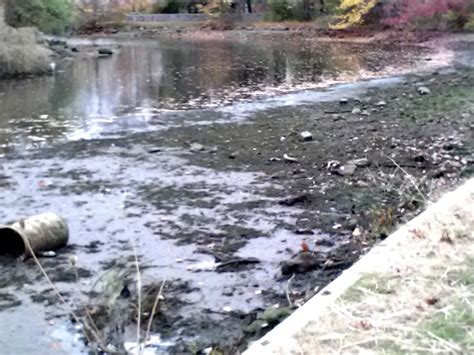 County Lowers Verona Park Lake Level - MyVeronaNJ