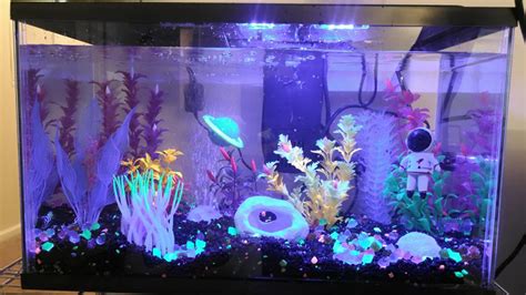 Cichlid Aquarium Decoration Ideas | Shelly Lighting