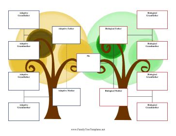 3-Generation Adoption Family Tree Template