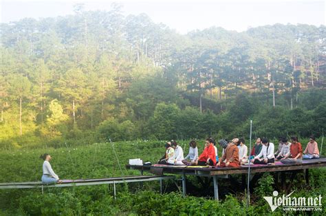 Experience new yoga/meditation tour in Lam Dong's pine forest