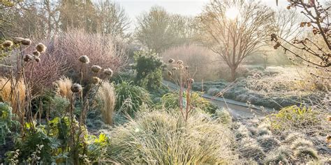 Jazz Botanical Gardens Cambridge | Fasci Garden