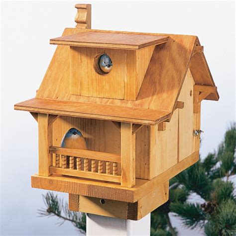 Build a Backyard Birdhouse (DIY) | Family Handyman