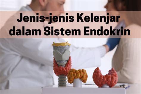 Foto : Jenis-jenis Kelenjar dalam Sistem Endokrin