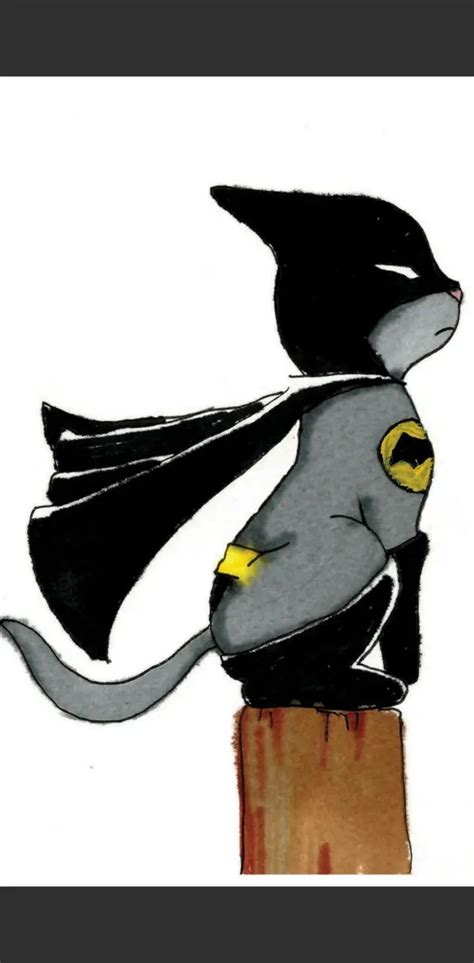 BatMan BatCat wallpaper by Sashya2701 - Download on ZEDGE™ | 79f4